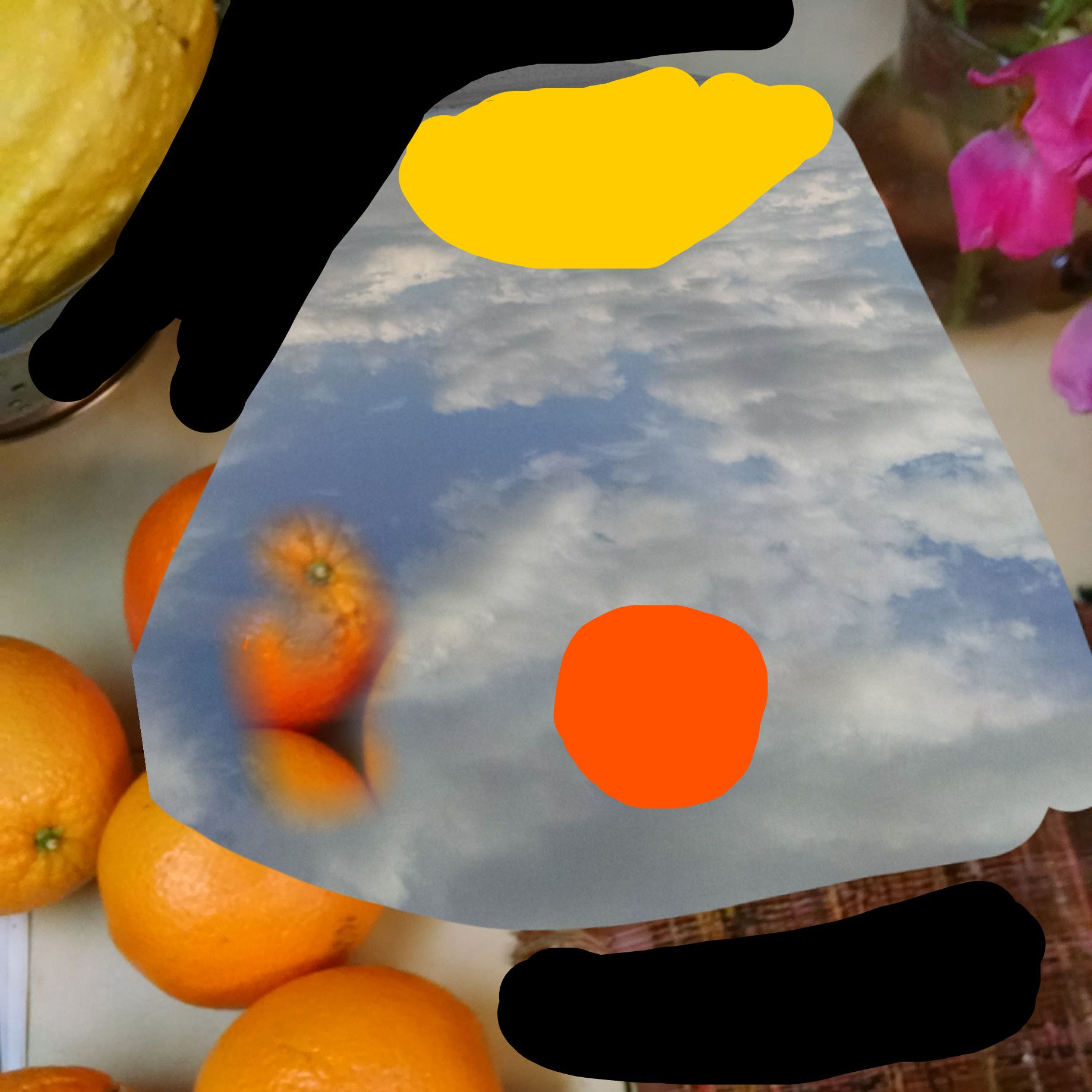 Gannet_snailsgallop_1