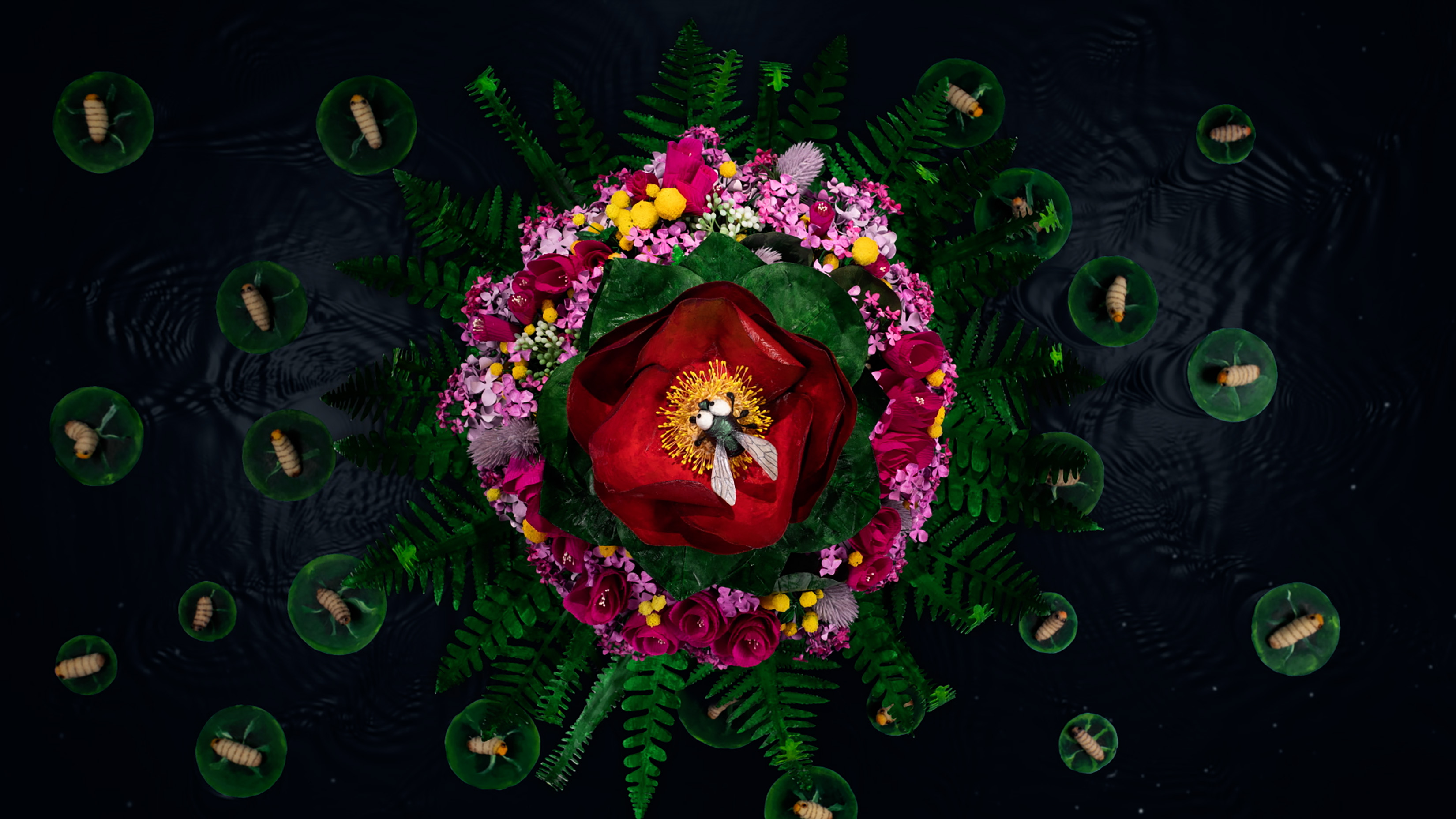 animation by Yoo Lee