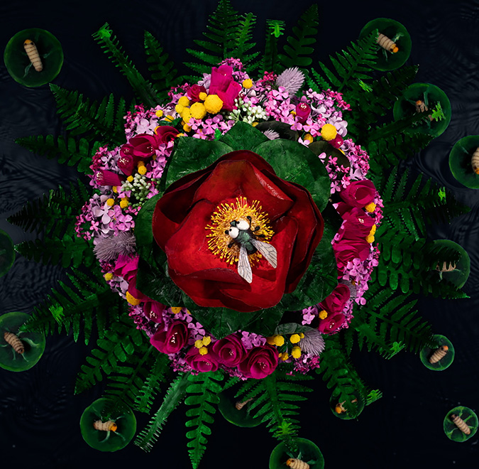 Yoo Lee animation still